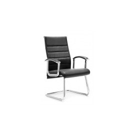 Silla visita LOOP V