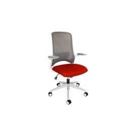 Silla ejecutiva Dolphin