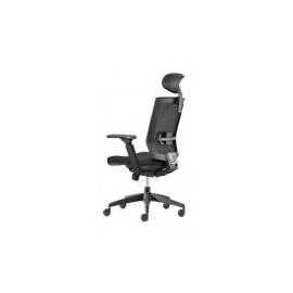 Silla Ejecutiva AUSTRIA C/CABECERA
